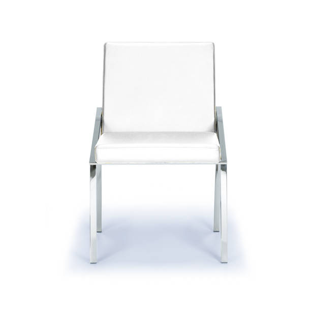 Orren Ellis Capodanno Swivel Adjustable Height Stool & Reviews Wayfair